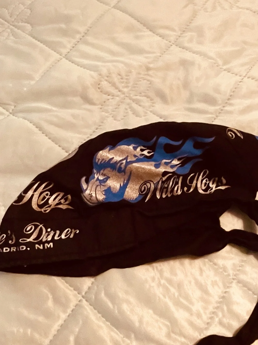 Wild Hogs & Sturgis Graphic Du Rag, Head Scarf. with Flames